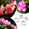 Petal Cutter Belgium Azalea -Bakeware Mould Flower  Mould Set Fondant Cake Decoration