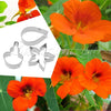 Petal Cutter  Nasturtium Biscuit Mould Cookie Mould Set Sugar Arts Fondant Cake Decoration