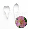 Petal Cutter Alstroemeria-Bakeware Mould Biscuit Mould Cookie Mould Set Sugar Arts Fondant Cake Decoration DIY Tool.