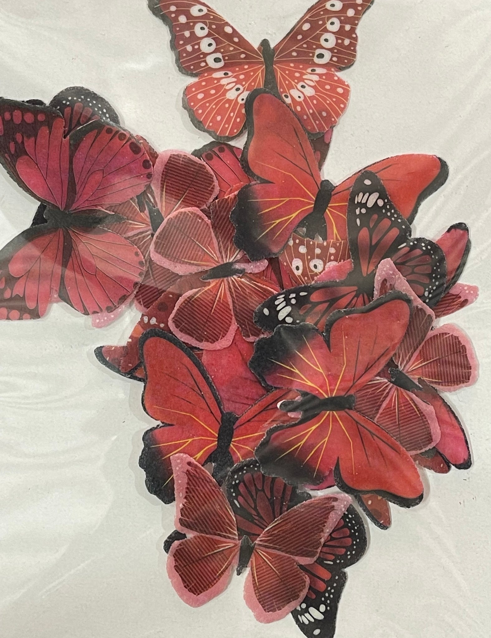 Edible butterfly Wafer Paper - Red