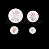 Daisy Flower Plunger Cutter Set Of 4 Pcs - SugarCraft Fondant Plunger Cutter Cake Decorating DIY Tool.