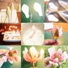 Petal Cutter Magolia   Bakeware Mould Sugar Arts Fondant Cake Decoration