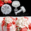 5 Heart's Flower Shape Plunger Cutter Set Of 3 Pcs - SugarCraft Fondant Plunger Cutter Cake Decorating DIY Tool.
