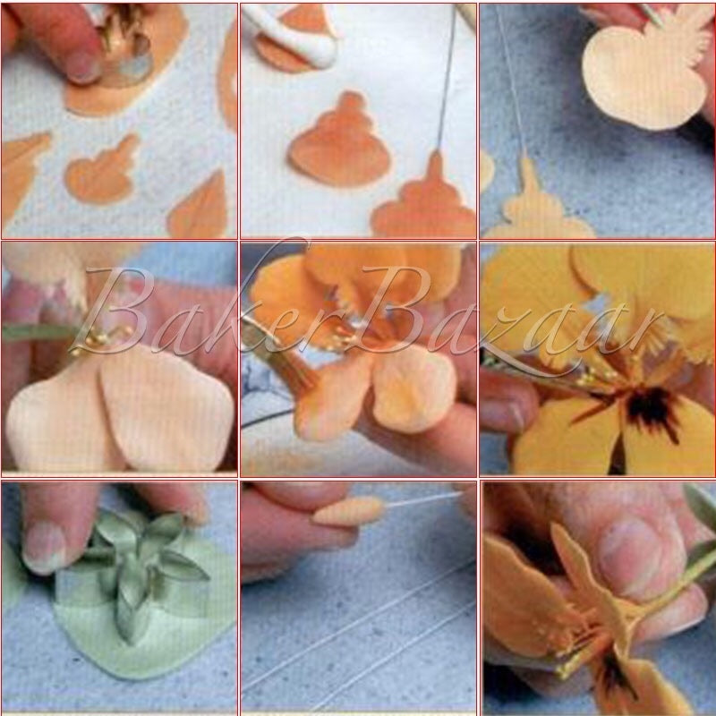 Petal Cutter  Nasturtium Biscuit Mould Cookie Mould Set Sugar Arts Fondant Cake Decoration